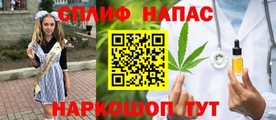 мдпв Гусев