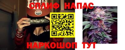 мдпв Гусев