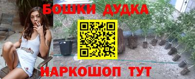 мдпв Гусев