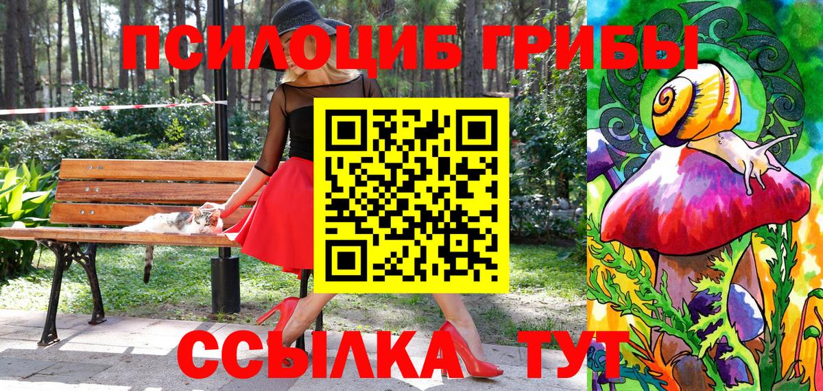 Галлюциногенные грибы Psilocybe Севастополь